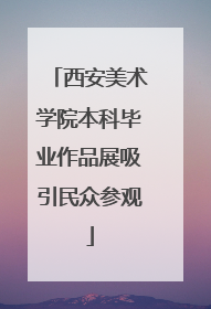 西安美术学院本科毕业作品展吸引民众参观