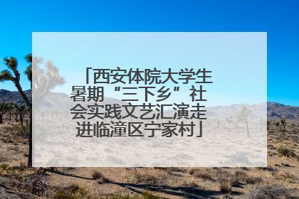 西安体院大学生暑期“三下乡”社会实践文艺汇演走进临潼区宁家村