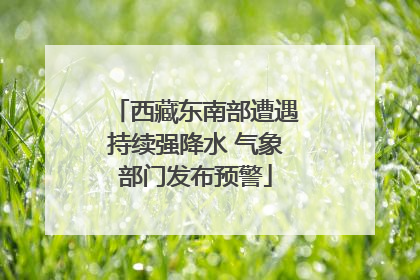 西藏东南部遭遇持续强降水 气象部门发布预警