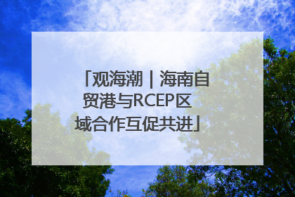 观海潮｜海南自贸港与RCEP区域合作互促共进