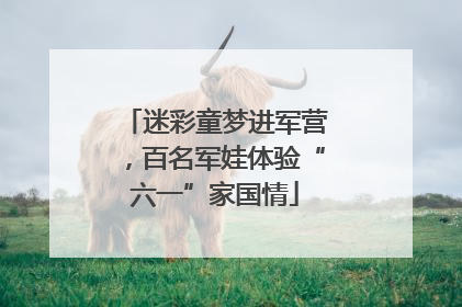 迷彩童梦进军营，百名军娃体验“六一”家国情
