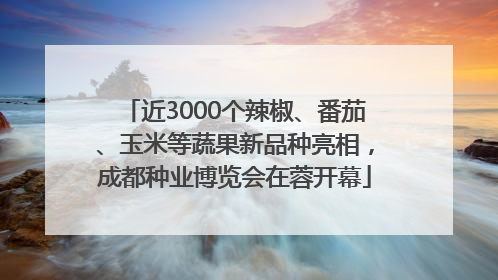 近3000个辣椒、番茄、玉米等蔬果新品种亮相，成都种业博览会在蓉开幕