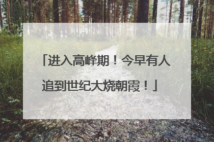 进入高峰期！今早有人追到世纪大烧朝霞！