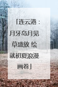 连云港：月牙岛月见草盛放 绘就初夏浪漫画卷