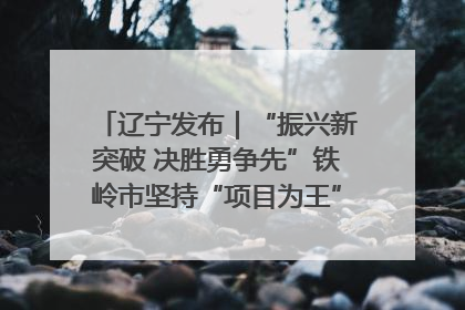 辽宁发布｜“振兴新突破 决胜勇争先”铁岭市坚持“项目为王”推进经济高质量发展