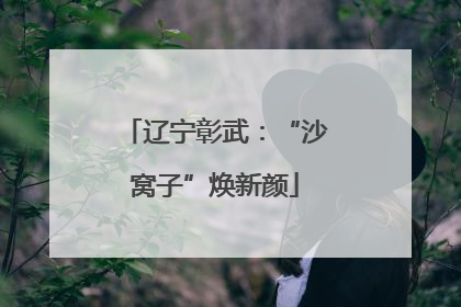 辽宁彰武：“沙窝子”焕新颜