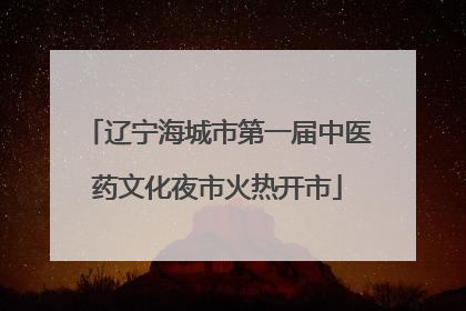 辽宁海城市第一届中医药文化夜市火热开市