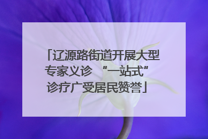 辽源路街道开展大型专家义诊 “一站式”诊疗广受居民赞誉