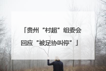 贵州“村超”组委会回应“被足协叫停”