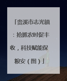 贵溪市志光镇：抢抓农时促丰收，科技赋能保粮安（图）