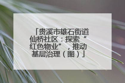 贵溪市雄石街道仙桥社区：探索“红色物业”，推动基层治理（图）