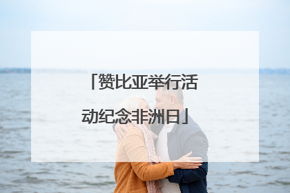 赞比亚举行活动纪念非洲日