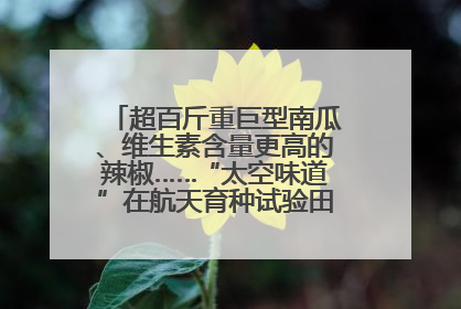 超百斤重巨型南瓜、维生素含量更高的辣椒……“太空味道”在航天育种试验田里拔节生长