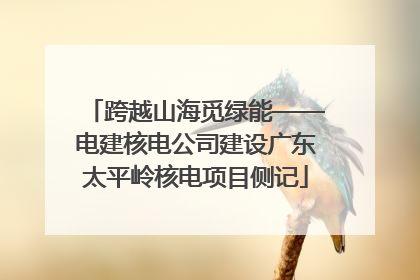 跨越山海觅绿能——电建核电公司建设广东太平岭核电项目侧记