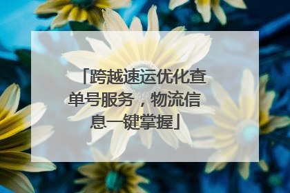 跨越速运优化查单号服务，物流信息一键掌握