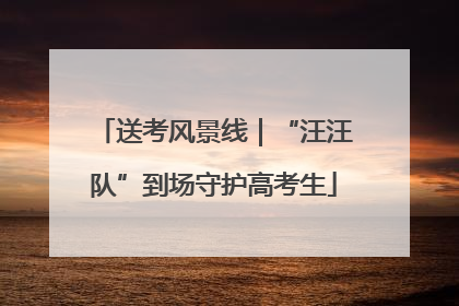送考风景线｜“汪汪队”到场守护高考生