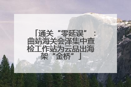 通关“零延误”：曲靖海关会泽集中查检工作站为云品出海架“金桥”