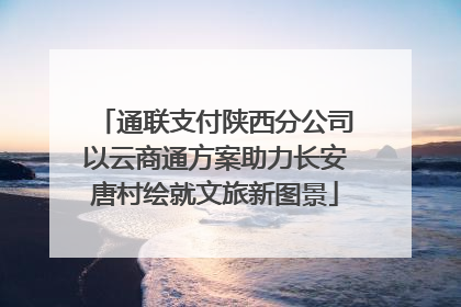 通联支付陕西分公司以云商通方案助力长安唐村绘就文旅新图景