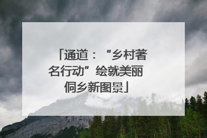 通道：“乡村著名行动”绘就美丽侗乡新图景
