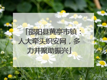 邵阳县黄亭市镇：人大牵头织安网，多力并聚助振兴