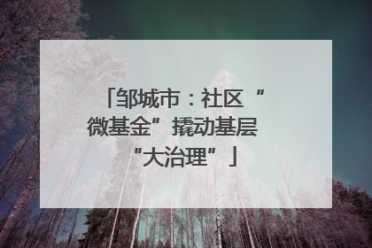 邹城市：社区“微基金”撬动基层“大治理”