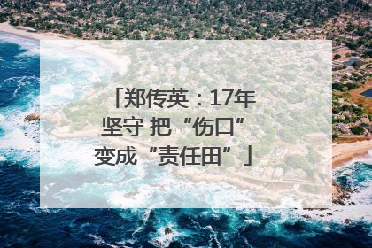 郑传英：17年坚守 把“伤口”变成“责任田”
