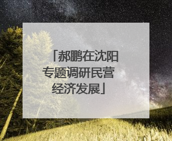 郝鹏在沈阳专题调研民营经济发展