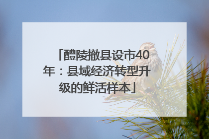 醴陵撤县设市40年：县域经济转型升级的鲜活样本