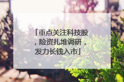重点关注科技股，险资扎堆调研，发力长钱入市