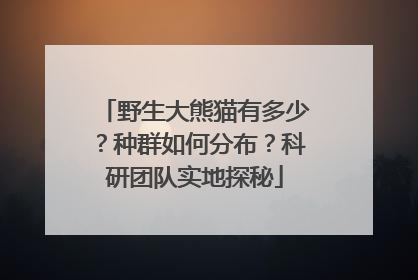 野生大熊猫有多少？种群如何分布？科研团队实地探秘