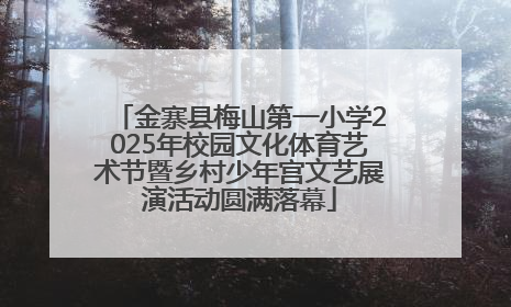 金寨县梅山第一小学2025年校园文化体育艺术节暨乡村少年宫文艺展演活动圆满落幕