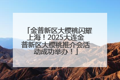金普新区大樱桃闪耀上海！2025大连金普新区大樱桃推介会活动成功举办！