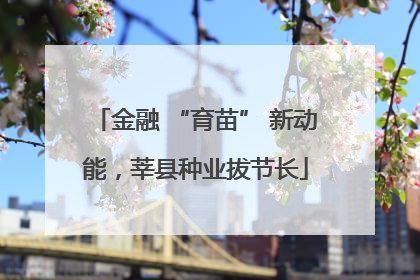 金融 “育苗” 新动能，莘县种业拔节长