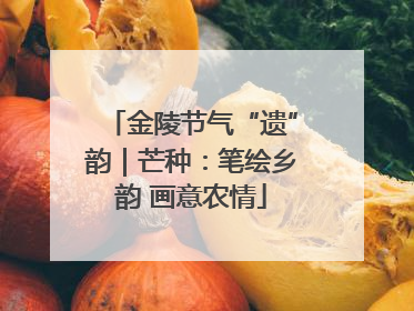 金陵节气“遗”韵｜芒种：笔绘乡韵 画意农情