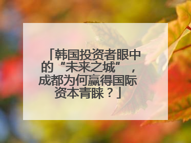 韩国投资者眼中的“未来之城”，成都为何赢得国际资本青睐？