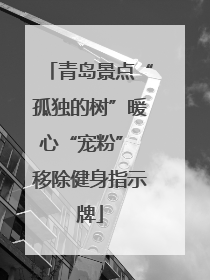 青岛景点“孤独的树”暖心“宠粉” 移除健身指示牌
