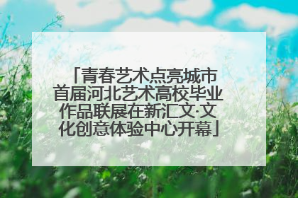 青春艺术点亮城市 首届河北艺术高校毕业作品联展在新汇文·文化创意体验中心开幕
