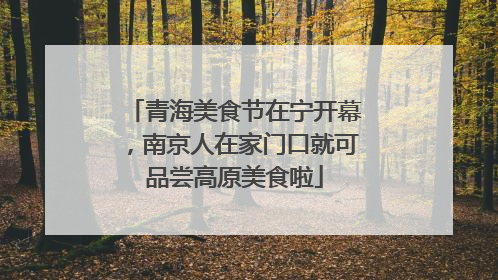 青海美食节在宁开幕，南京人在家门口就可品尝高原美食啦