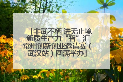 非武不栖 进无止境 新质生产力“智”汇常州创新创业邀请赛（武汉站）圆满举办
