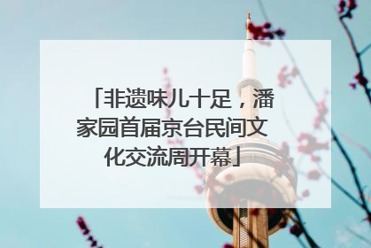 非遗味儿十足，潘家园首届京台民间文化交流周开幕
