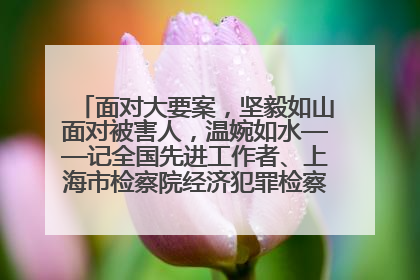 面对大要案，坚毅如山面对被害人，温婉如水——记全国先进工作者、上海市检察院经济犯罪检察部主任马玮玮