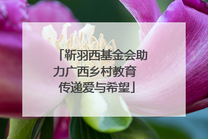 靳羽西基金会助力广西乡村教育 传递爱与希望