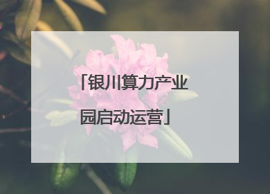 银川算力产业园启动运营