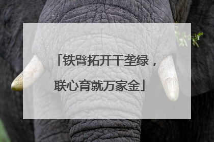 铁臂拓开千垄绿，联心育就万家金
