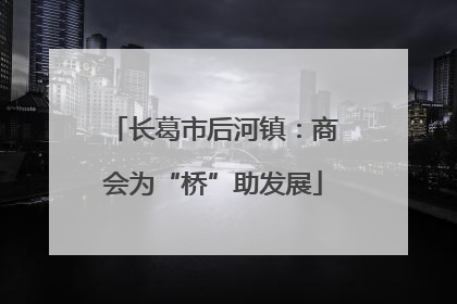 长葛市后河镇：商会为“桥”助发展
