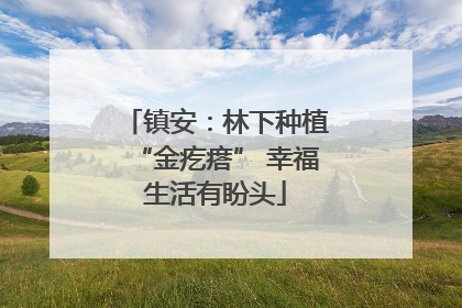 镇安：林下种植“金疙瘩” 幸福生活有盼头