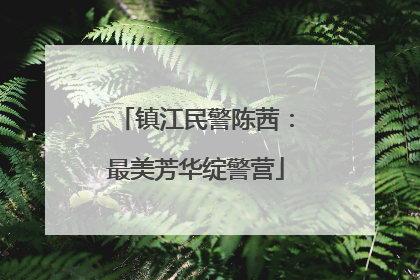 镇江民警陈茜：最美芳华绽警营