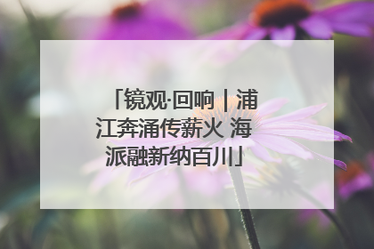 镜观·回响｜浦江奔涌传薪火 海派融新纳百川