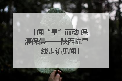 闻“旱”而动 保灌保供——陕西抗旱一线走访见闻