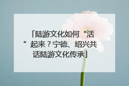 陆游文化如何“活 ”起来？宁德、绍兴共话陆游文化传承